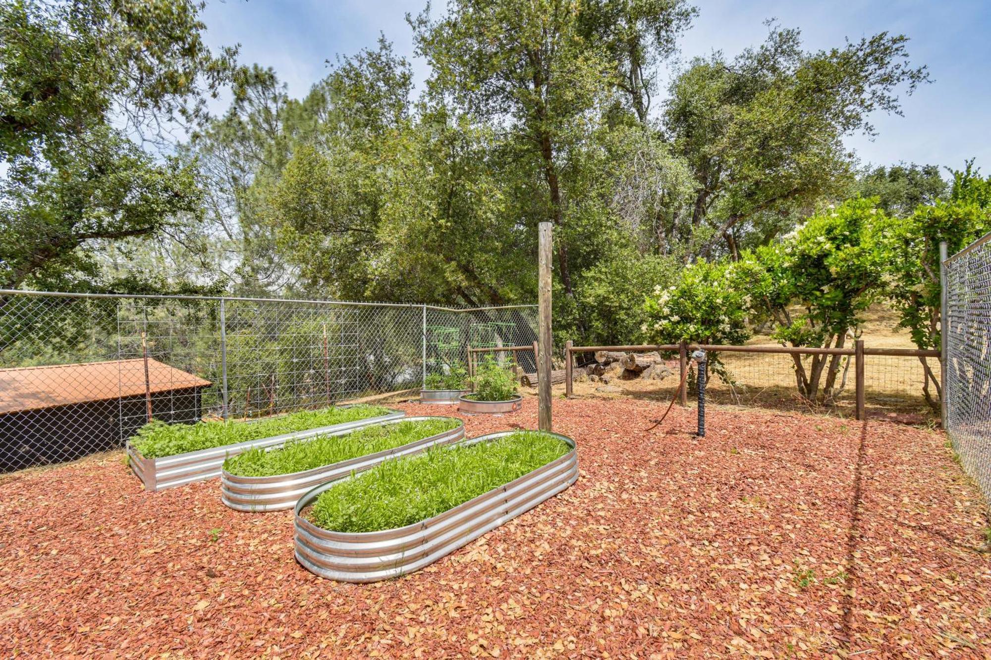 Yosemite Wellbeing Retreat On 5 Acres With Mtn Views Apartment Ahwahnee Luaran gambar