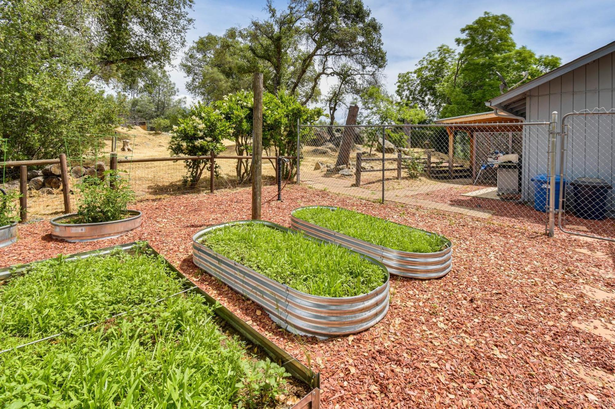 Yosemite Wellbeing Retreat On 5 Acres With Mtn Views Apartment Ahwahnee Luaran gambar